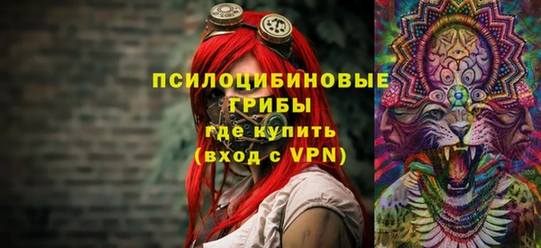 крисы Алзамай