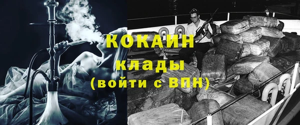 дмт Гатчина