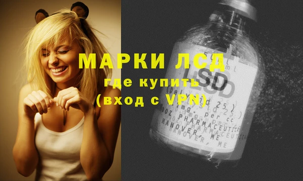 крисы Алзамай