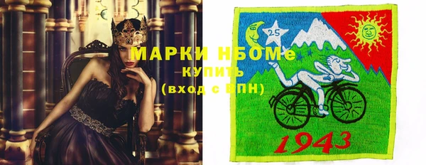 крисы Алзамай